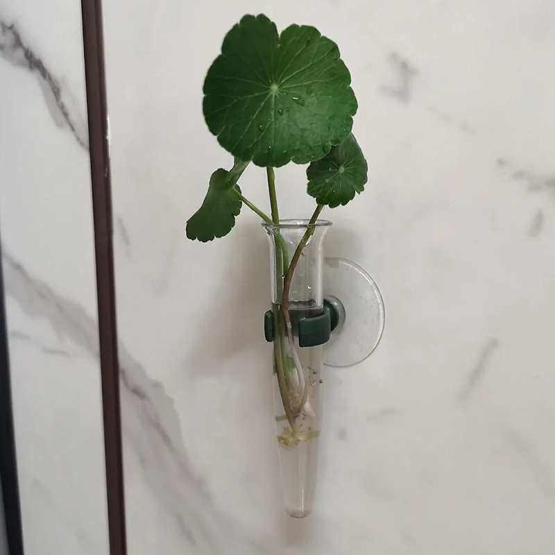 11cm Çiçek Su Tüpleri Plastik  - Nutrition & Fitness Hub Photos incelemesi ve fiyatı